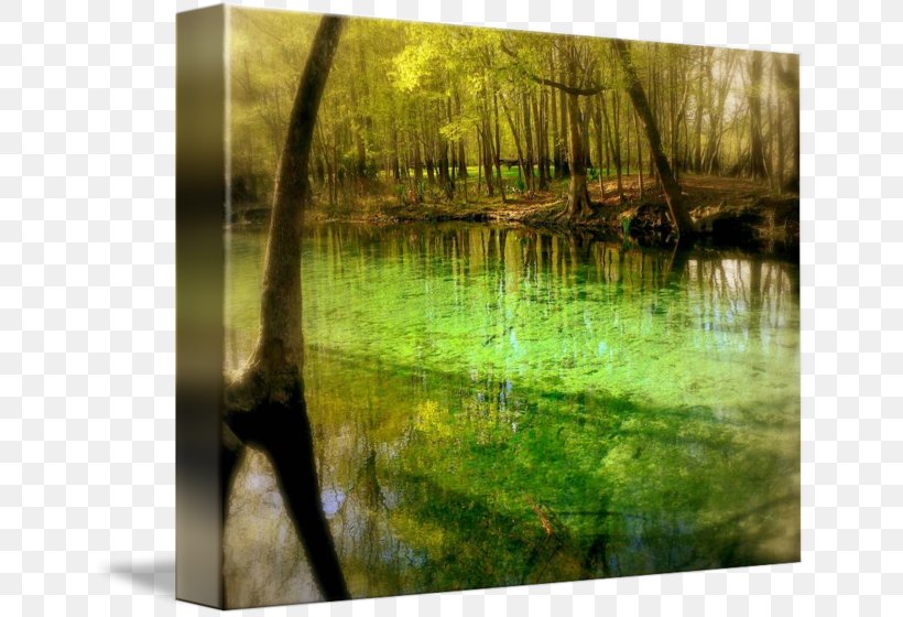 Bayou Swamp Water Resources Gallery Wrap Ecosystem, PNG, 650x560px, Bayou, Art, Bank, Black And White, Canvas Download Free