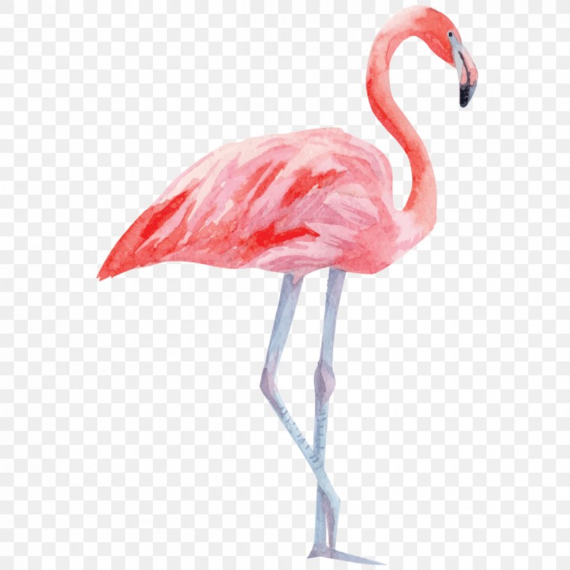 Bird Greater Flamingo Paper Palm Branch, PNG, 1200x1200px, Bird, Beak, Flamingo, Flamingos, Flower Download Free