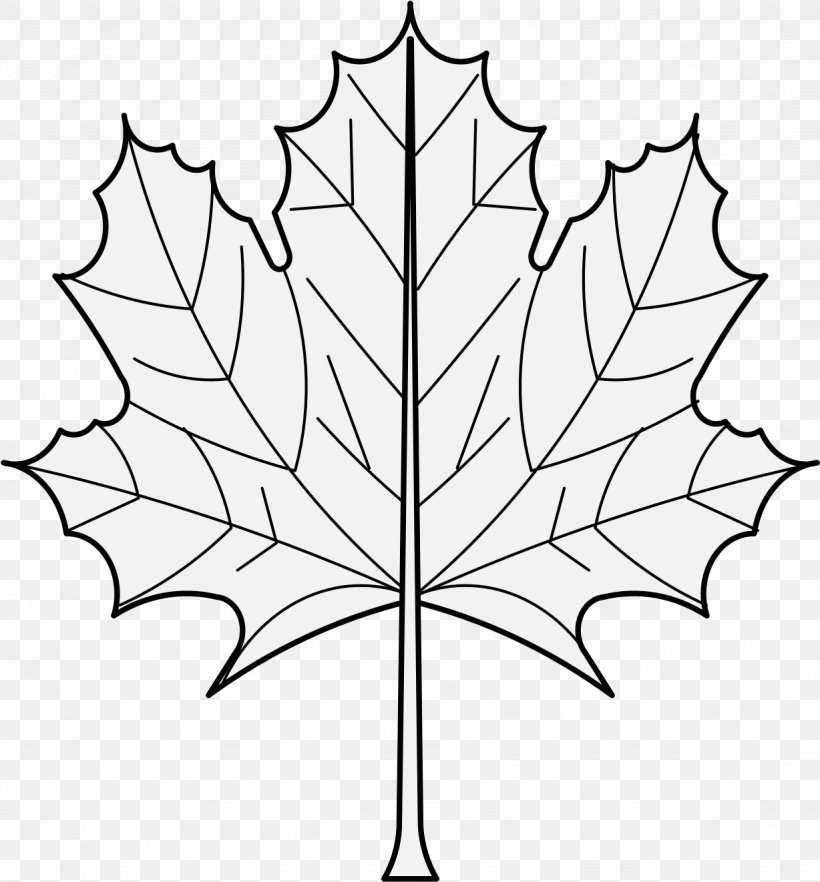 Black And White Flower, PNG, 1228x1322px, Maple Leaf, Black Maple, Blackandwhite, Branch, Flag Of Canada Download Free