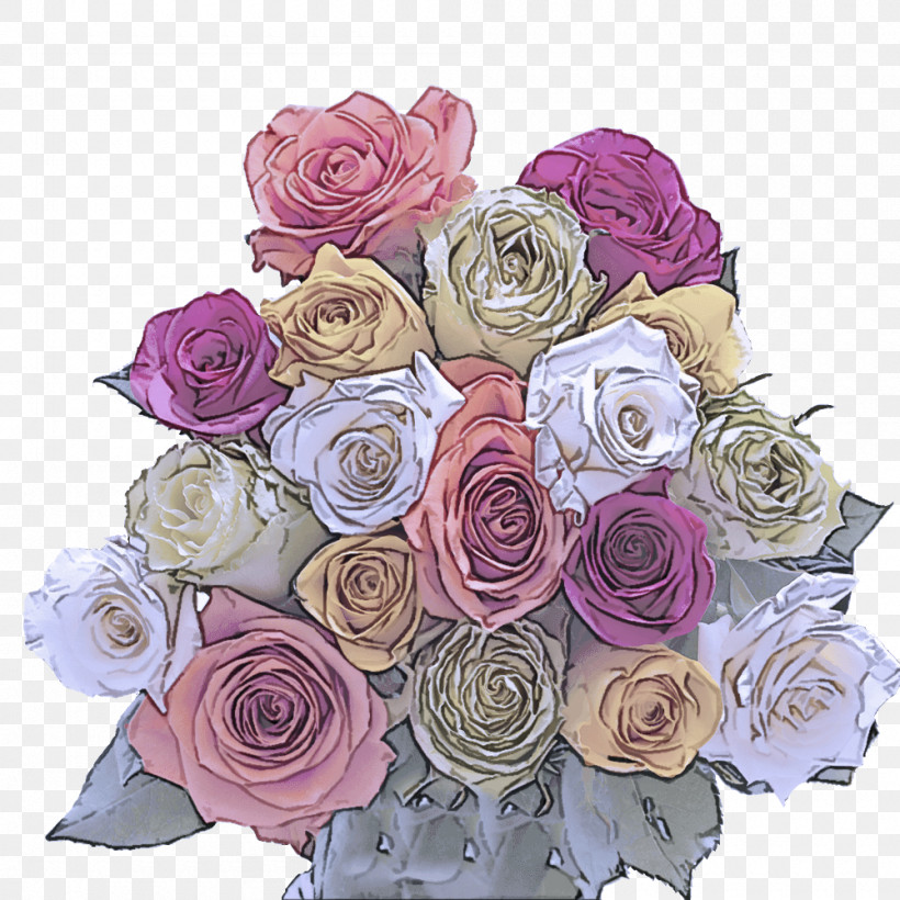 Garden Roses, PNG, 1000x1000px, Garden Roses, Cabbage Rose, Cut Flowers, Floral Design, Flower Download Free
