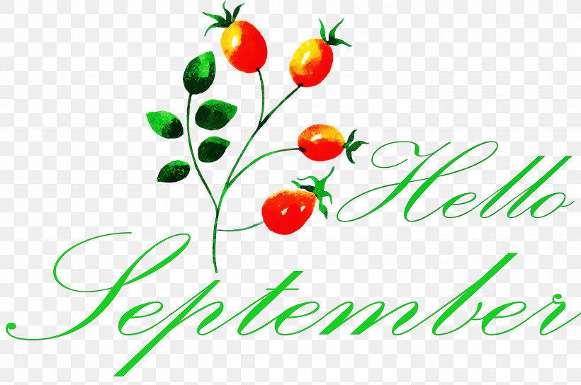 Hello September, PNG, 3000x1993px, Hello September, Biology, Fruit, Geometry, Justin Bieber Download Free