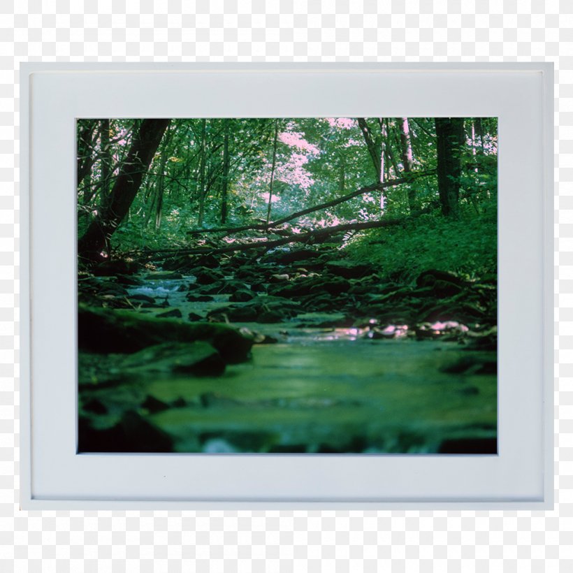 Painting Art Picture Frames Pond Landscape, PNG, 1000x1000px, Painting, Art, Bayou, Biome, Concept Download Free