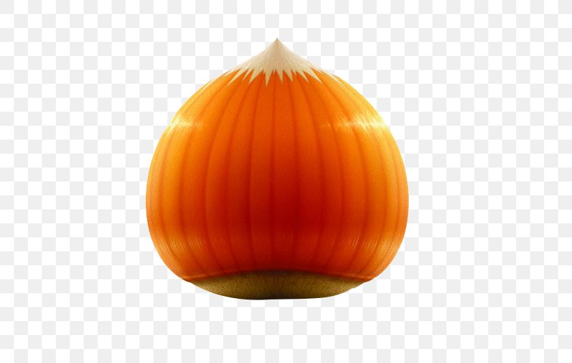 Pumpkin Lighting Hazelnut, PNG, 531x520px, Pumpkin, Calabaza, Cucurbita, Hazelnut, Lighting Download Free