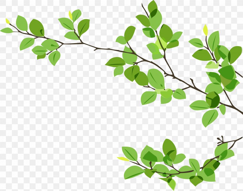 Branch Leaf Twig, PNG, 3976x3134px, Branch, Bud, Grass, Green, Leaf Download Free
