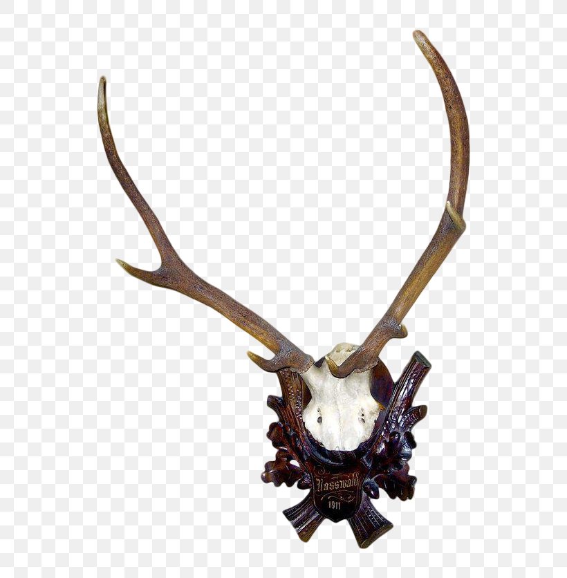 Deer Antler Horn Trophy Hunting, PNG, 600x836px, Deer, Antique, Antler, Art, Carving Download Free