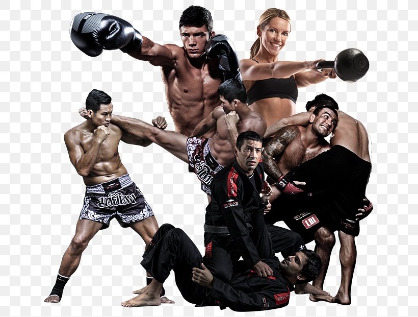 Mixed Martial Arts Brazilian Jiu-jitsu Sport Evolve MMA, PNG, 650x621px, Mixed Martial Arts, Aggression, Boxing Glove, Brazilian Jiujitsu, Combat Sport Download Free