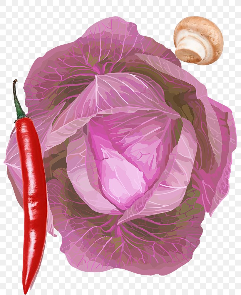 Bell Pepper Vegetable Mushroom, PNG, 800x1000px, Bell Pepper, Cabbage, Capsicum Annuum, Chili Pepper, Flower Download Free