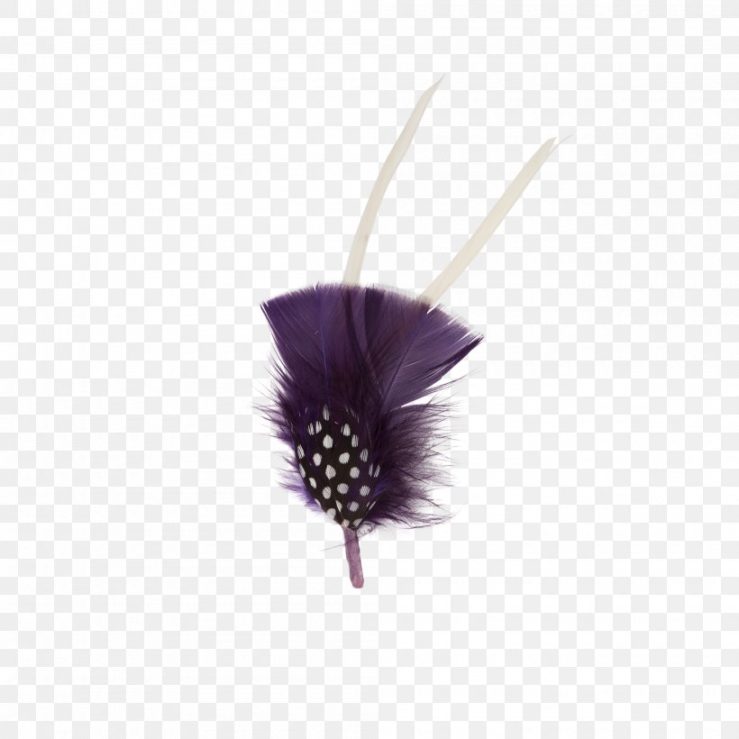Feather Goorin Bros. Purple Violet Lilac, PNG, 2000x2000px, Feather, Goorin Bros, Hat, Lilac, Purple Download Free