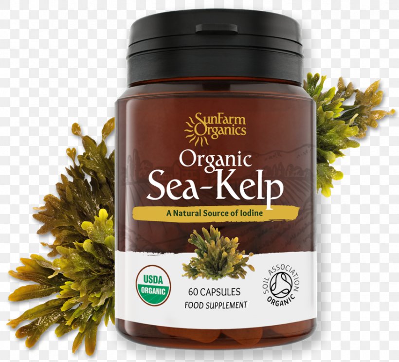 Iodine Kelp Organic Food Seaweed Thyroid, PNG, 874x793px, Iodine, Food, Giant Kelp, Herbal, Kelp Download Free