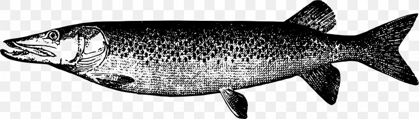Muskellunge Drawing Flying Fish, PNG, 2377x679px, Muskellunge, Art, Black And White, Coho, Drawing Download Free