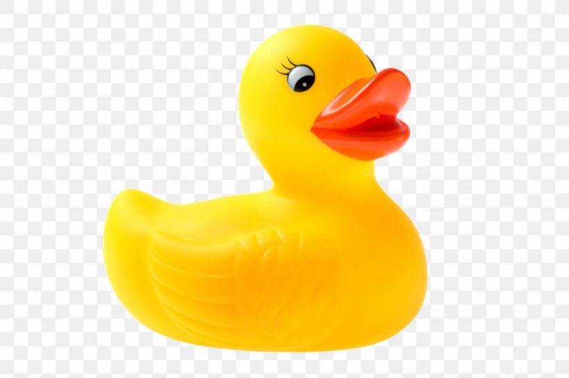 Rubber Duck Stock Photography Sticker Desktop Wallpaper, PNG, 1024x682px, Duck, Bathroom, Beak, Bird, Ducks Geese And Swans Download Free