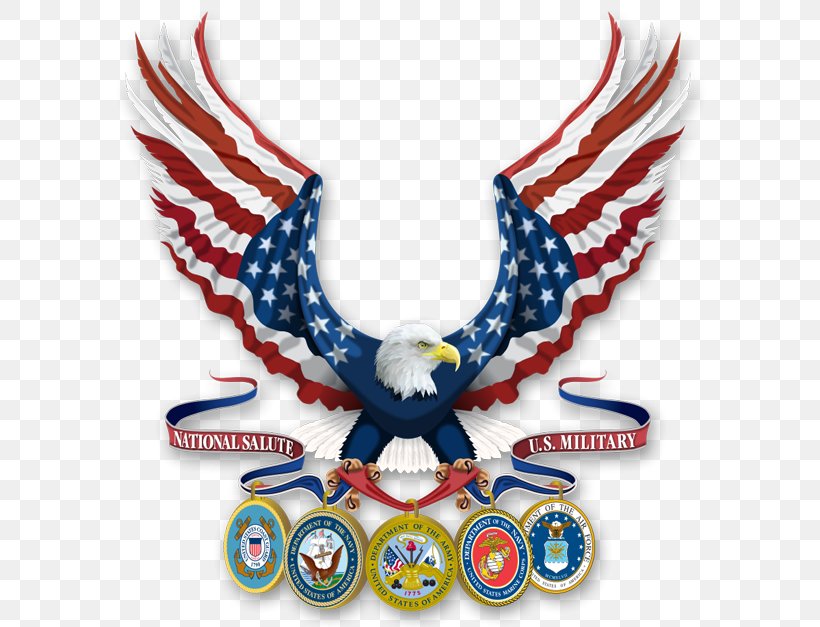 Epilepsy Foundation Of Ky In Military Vietnam Veteran United States Armed Forces, PNG, 800x627px, Military, Be Careful, Beak, Bird, Bird Of Prey Download Free