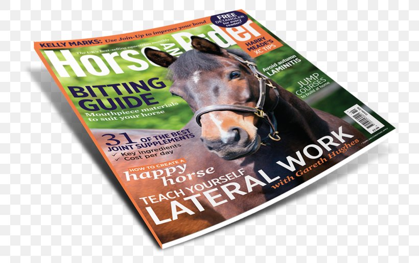 Magazine Brand Snout, PNG, 767x514px, Magazine, Advertising, Brand, Snout Download Free