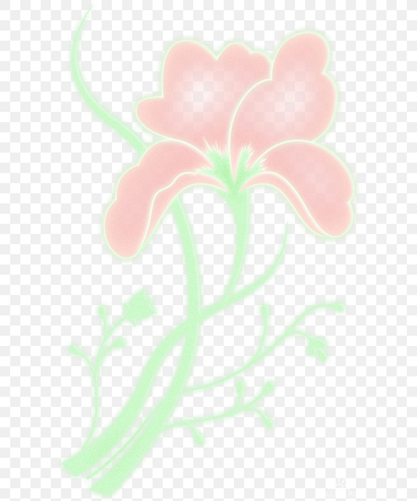 Rose Family Floral Design Petal Desktop Wallpaper, PNG, 600x985px, Rose Family, Computer, Family, Flora, Floral Design Download Free