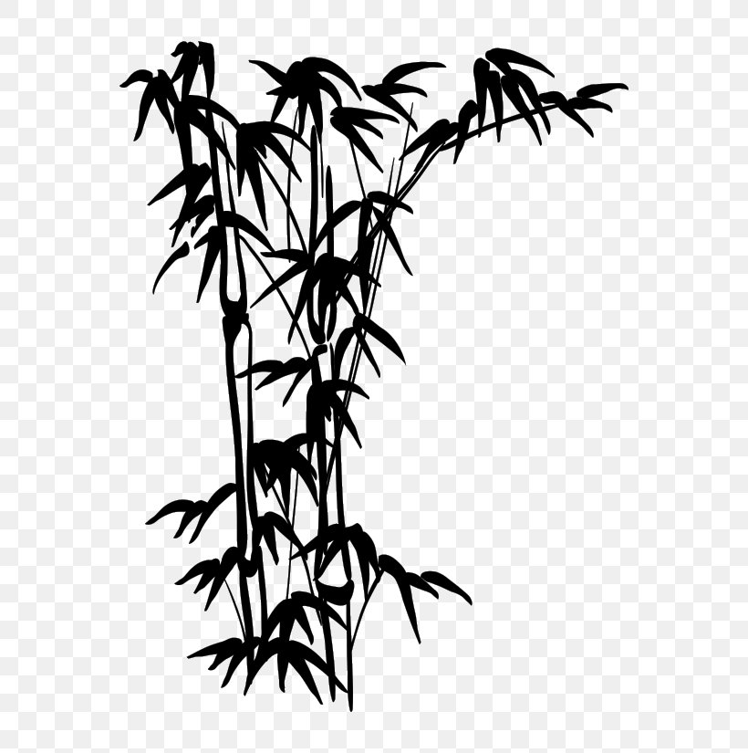 Tropical Woody Bamboos Wall Decal Drawing, PNG, 650x825px, Tropical Woody Bamboos, Black And White, Branch, Color, Drawing Download Free