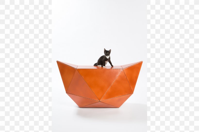 Architecture Industrial Design Cat, PNG, 1024x682px, Architecture, Architect, Cat, Dog Houses, Furniture Download Free