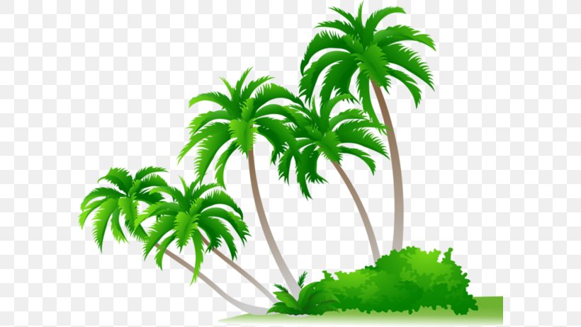 Arecaceae Shrub, PNG, 600x462px, Arecaceae, Arecales, Flat Design, Grass, Palm Tree Download Free