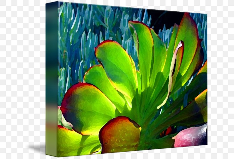 Current Gallery Painting Fine Art Succulent Plant, PNG, 650x560px, Current Gallery, Acrylic Paint, Art, Art Museum, Artwork Download Free
