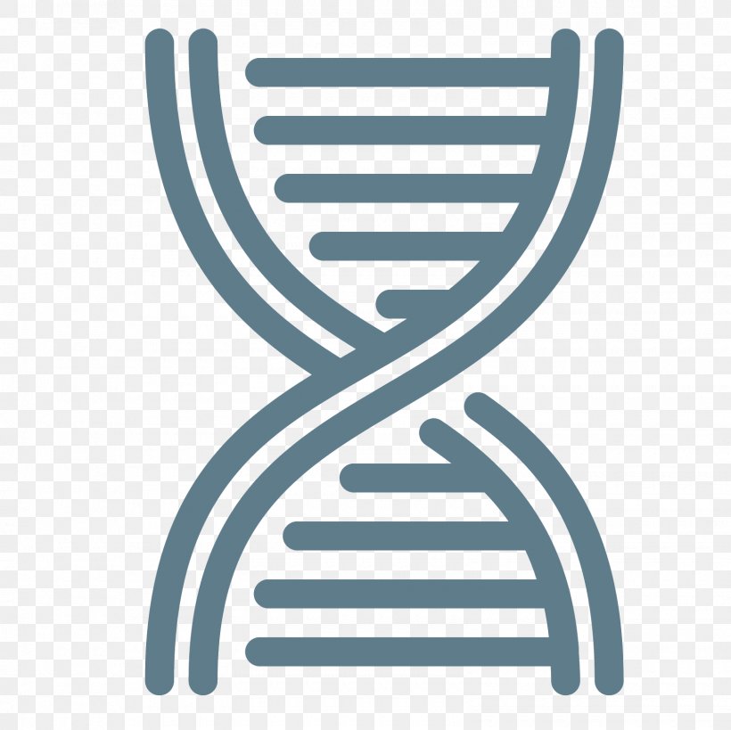 Nucleic Acid Double Helix DNA Methyltransferase DNA Methylation, PNG, 1600x1600px, Nucleic Acid Double Helix, Area, Biology, Brand, Dna Download Free