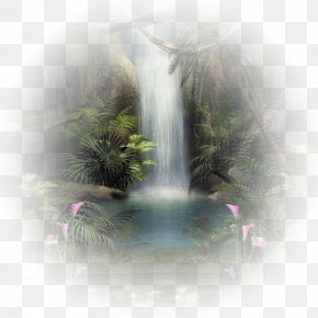 Waterfall Video Images, Waterfall Video Transparent PNG, Free download