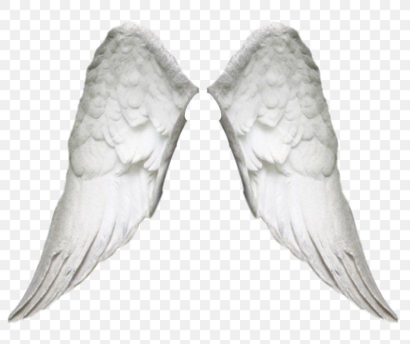 Angel Photomontage, PNG, 820x688px, Angel, Beak, Bird, Costume, Demon Download Free