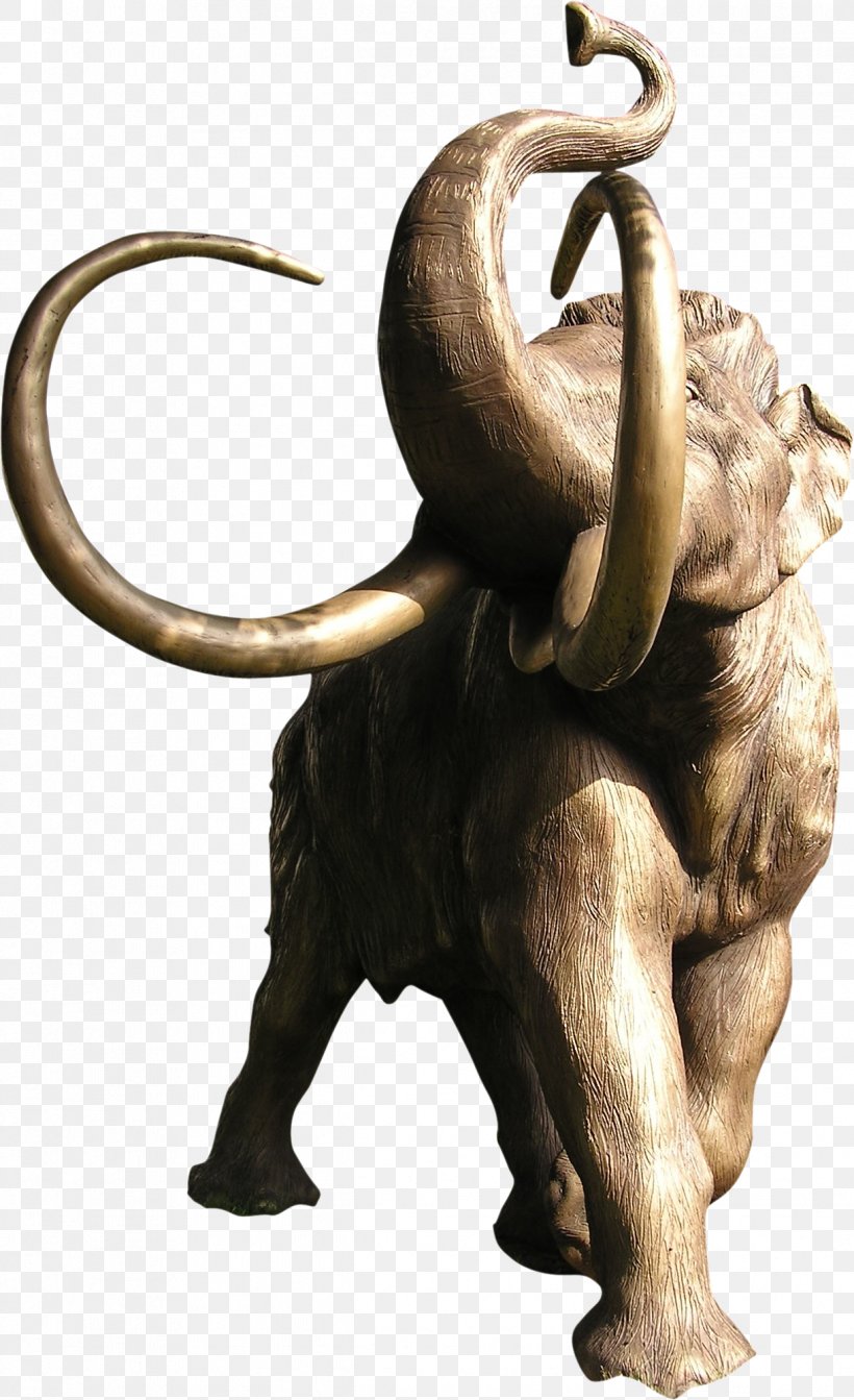 Elephant Geology Woolly Mammoth, PNG, 1221x2000px, Elephant, African Elephant, Bronze, Digital Image, Elephantidae Download Free