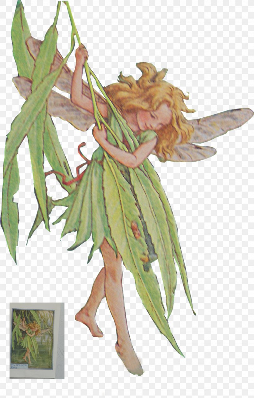 Fairy DeviantArt Photo Albums Credit, PNG, 1024x1609px, Fairy, Album, August 25, Clock, Costume Download Free