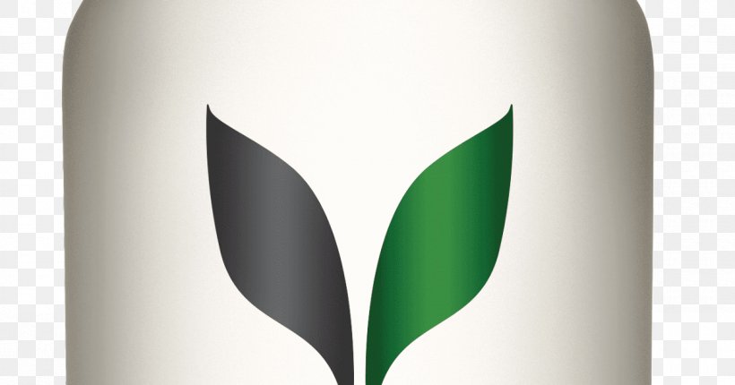Leaf Distilled Beverage, PNG, 1200x630px, Leaf, Distilled Beverage, Grass, Green, Plant Download Free