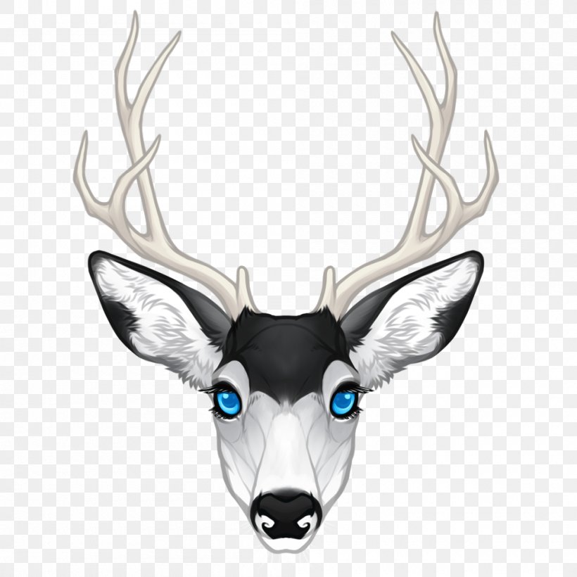 Reindeer Antler Snout Wildlife Tail, PNG, 1000x1000px, Reindeer, Antler, Deer, Horn, Mammal Download Free