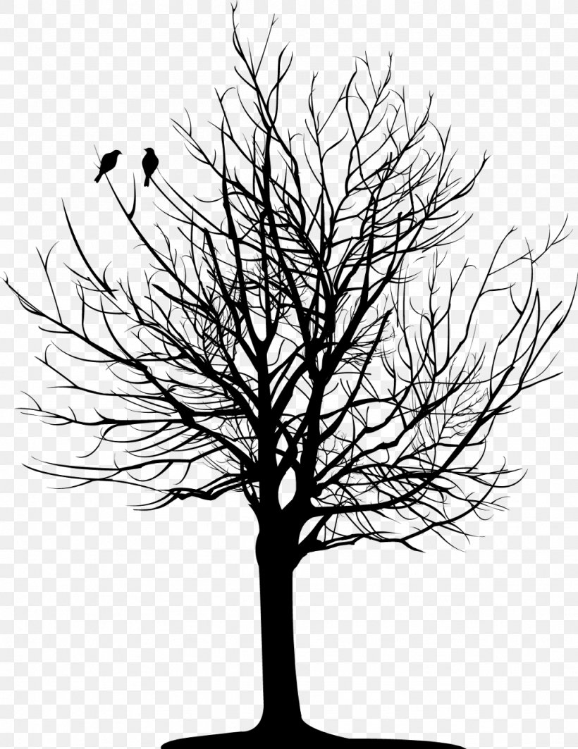 Tree Branch Deciduous, PNG, 1024x1328px, Tree, Black And White, Branch, Deciduous, Drawing Download Free