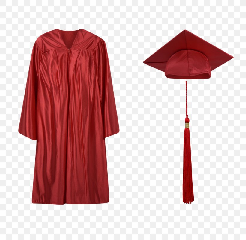 Academic Dress Gown Graduation Ceremony Square Academic Cap, PNG, 800x800px, Academic Dress, Blue, Cap, Clothing, Costume Download Free