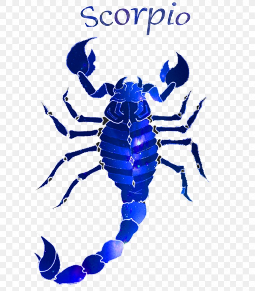 Clip Art Scorpion Insect Electric Blue Pattern, PNG, 838x954px, Scorpion, Arthropod, Artwork, Electric Blue, Insect Download Free