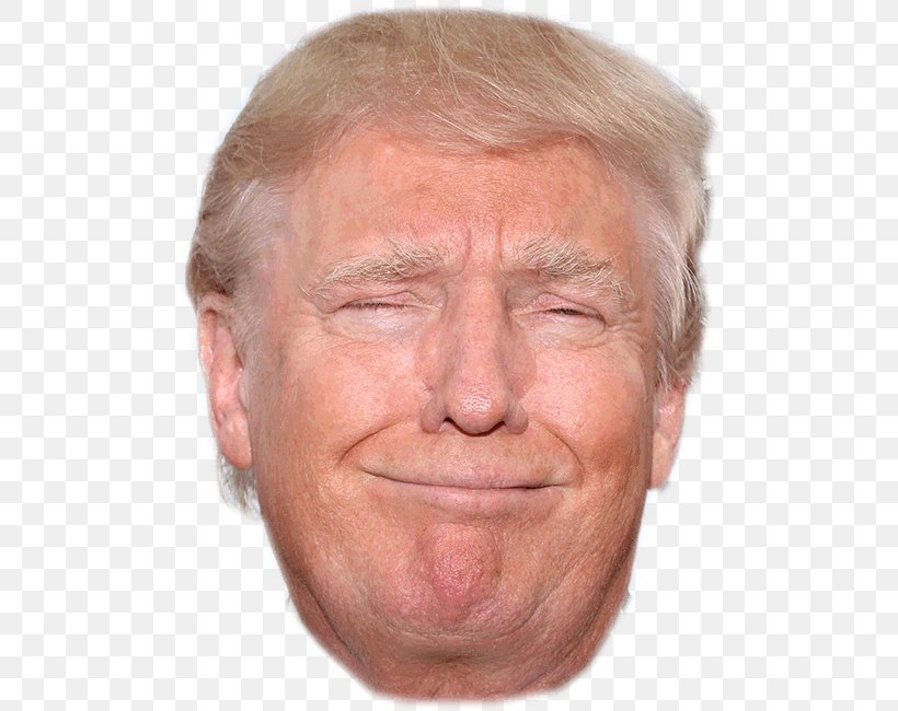 Donald Trump President Of The United States Republican Party Politician, PNG, 500x650px, Donald Trump, Cheek, Chin, Close Up, Ear Download Free