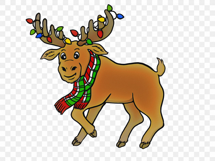 Reindeer, PNG, 2048x1536px, Reindeer, Antler, Deer, Elk, Fawn Download Free