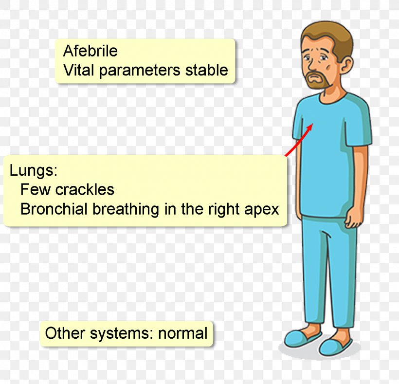 Homo Sapiens Human Behavior Shoulder Material, PNG, 1330x1280px, Homo Sapiens, Area, Arm, Behavior, Cartoon Download Free