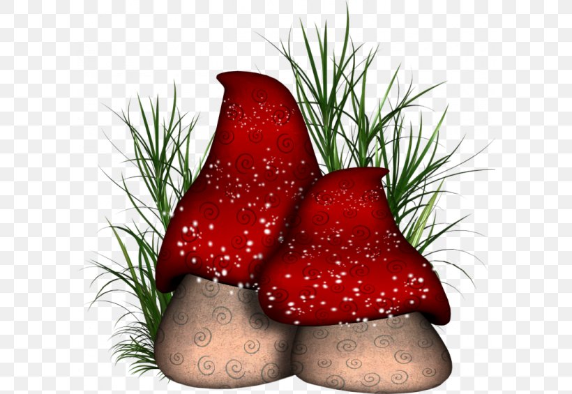 Mushroom Clip Art, PNG, 600x565px, Mushroom, Blog, Boletus Edulis, Christmas Ornament, Digital Image Download Free