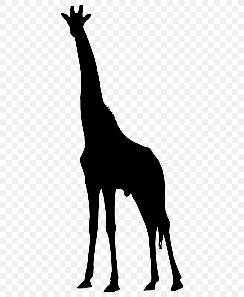 Silhouette West African Giraffe Clip Art, PNG, 444x1000px, Silhouette, Animal, Black And White, Drawing, Fauna Download Free