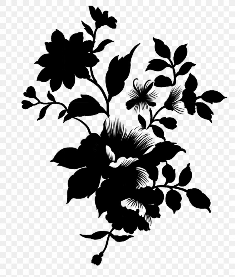 Twig Rose Family Leaf Plant Stem, PNG, 868x1024px, Twig, Blackandwhite, Botany, Branch, Floral Design Download Free