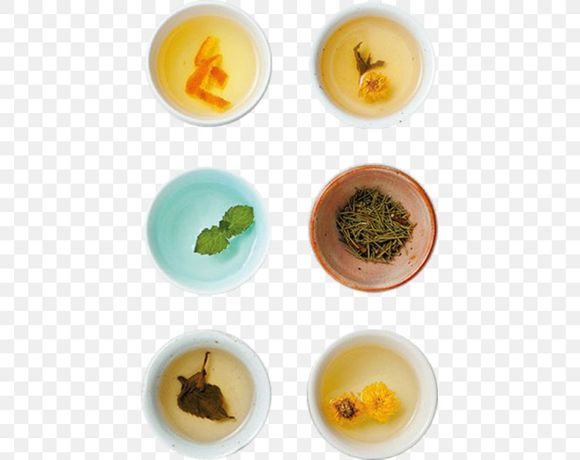 Chrysanthemum Tea Drinking, PNG, 421x651px, Tea, Black Tea, Body, Breakfast, Caffeine Download Free
