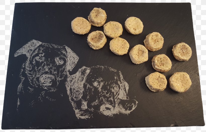 Dog Biscuit Puppy Cat Dog Food, PNG, 1000x643px, Dog, Canidae, Carnivoran, Cat, Collar Download Free