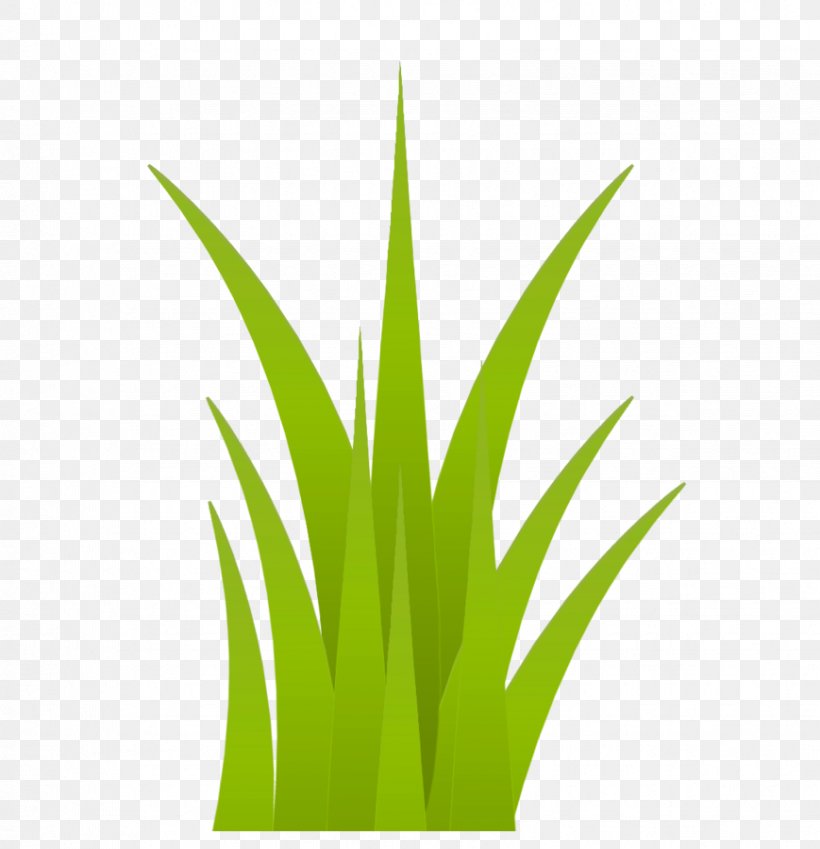 Grasses Flowerpot Plant Stem Leaf, PNG, 869x900px, Grasses, Commodity, Family, Flowerpot, Grass Download Free