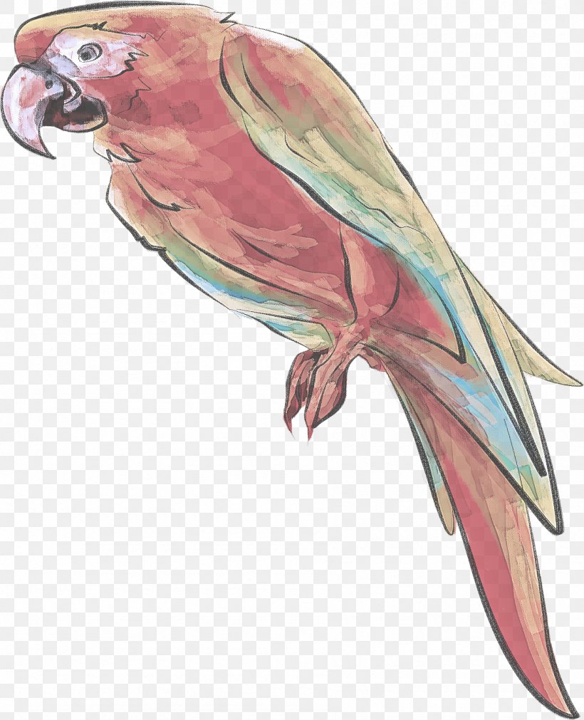 Lovebird, PNG, 1795x2214px, Bird, Beak, Budgie, Lovebird, Macaw Download Free