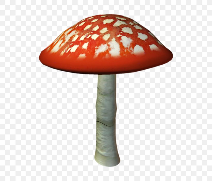 Amanita Muscaria Fungus Mushroom Clip Art, PNG, 700x700px, Amanita Muscaria, Amanita, Digital Image, Fungus, Mushroom Download Free