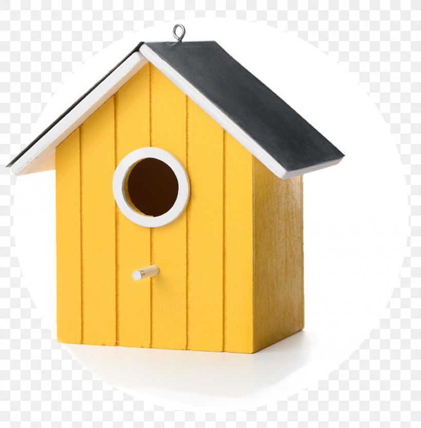 Bird Nest Nest Box Stock Photography, PNG, 1000x1016px, Bird, Bird Nest, Birdhouse, Box, House Download Free