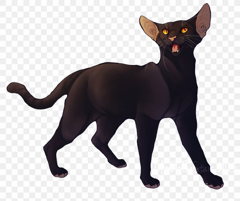 Black Cat Havana Brown Burmese Cat Domestic Short-haired Cat Whiskers, PNG, 1280x1076px, Black Cat, Asian, Black, Bombay, Breed Download Free