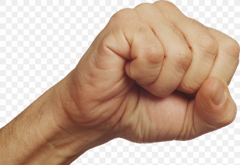 Fist Kulak Boxing Clip Art, PNG, 3000x2068px, Fist, Author, Boxing, Finger, Hand Download Free
