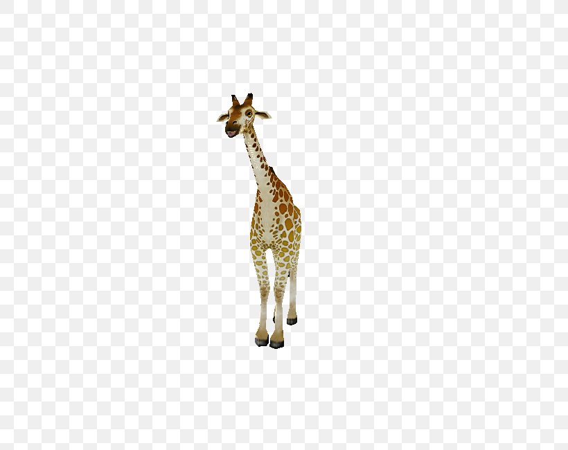 Giraffe Neck Terrestrial Animal Wildlife, PNG, 750x650px, Giraffe, Animal, Animal Figure, Fauna, Giraffidae Download Free
