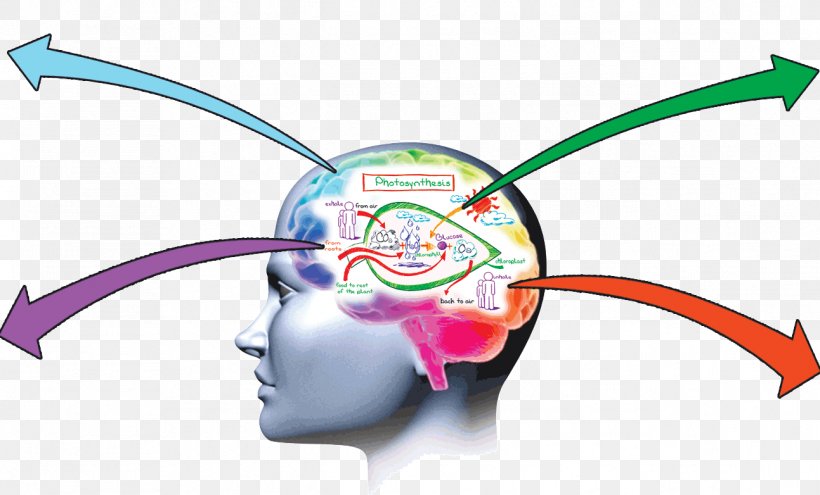 Memory Improvement Brain Memorization Learning, PNG, 1293x782px, Watercolor, Cartoon, Flower, Frame, Heart Download Free