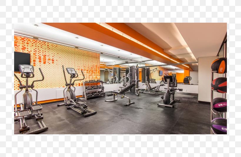 Park Slope 6th Street Property Renting Fitness Centre, PNG, 800x533px, 6th Street, Park Slope, Ceiling, Discover Card, Fitness Centre Download Free