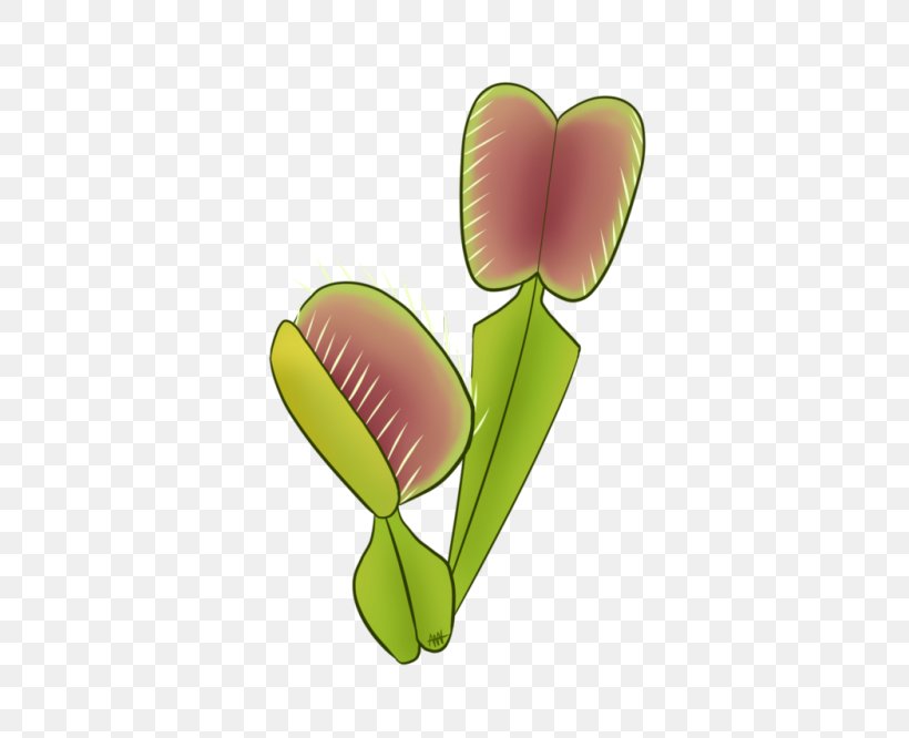 Petal Leaf Plant Stem Clip Art, PNG, 500x666px, Petal, Flower, Leaf, Organism, Plant Download Free